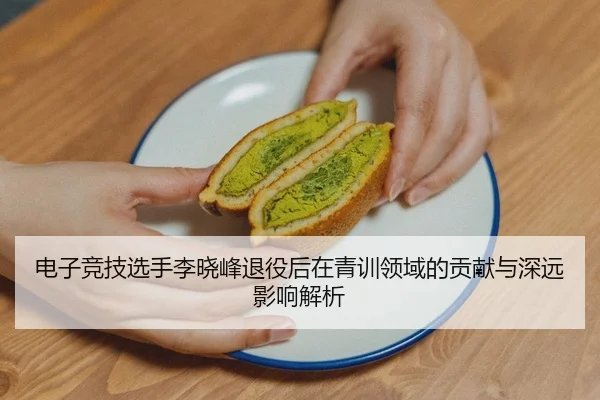 电子竞技选手李晓峰退役后在青训领域的贡献与深远影响解析（LEYU SPORTS）